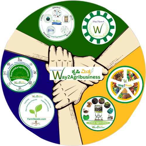 Our Online Services Network